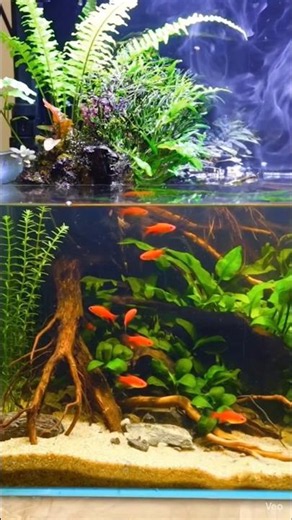 Paludarium: Where Aquarium Meets Terrarium | A Living Mini Rainforest Ecosystem