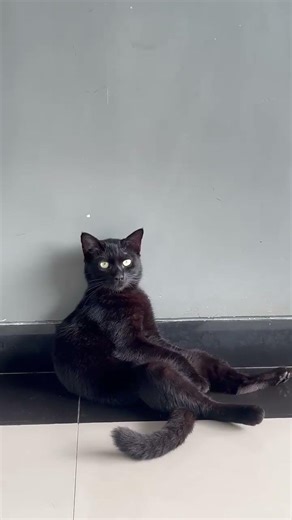 Si keying ku #jalanyangjauhjanganlupapulang