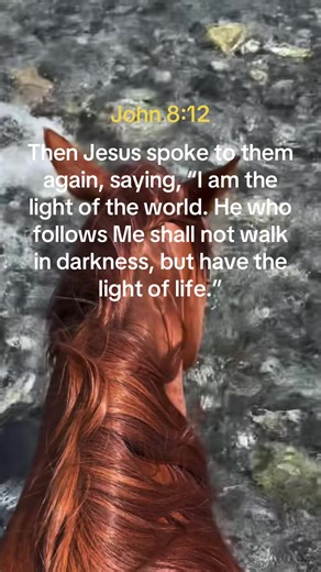 Embrace the Light of Jesus: John 8:12 Explained