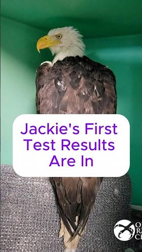 Jackie's Latest Medical Updates