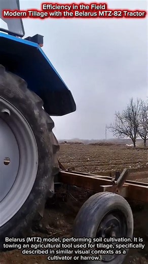 Efficiency in the Field | Modern Tillage with the Belarus MTZ-82 Tractor