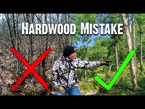 Hardwood Management 101: The #1 Mistake