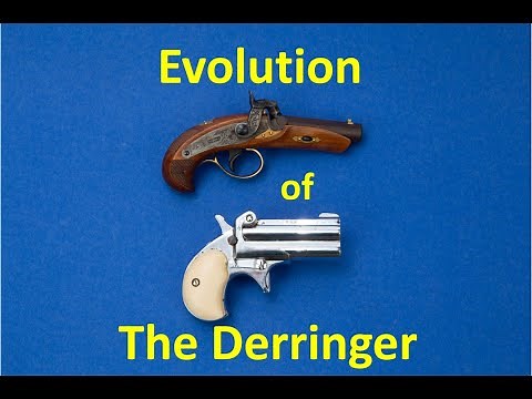 Evolution of the Derringer Part 1 Muzzleloaders