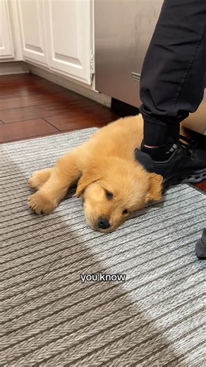 Butter on Instagram: "Best love there is 💕"