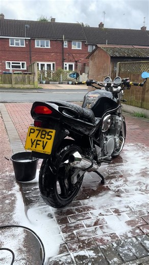 Bandits Coming Out of Hiding: Suzuki Bandit 600