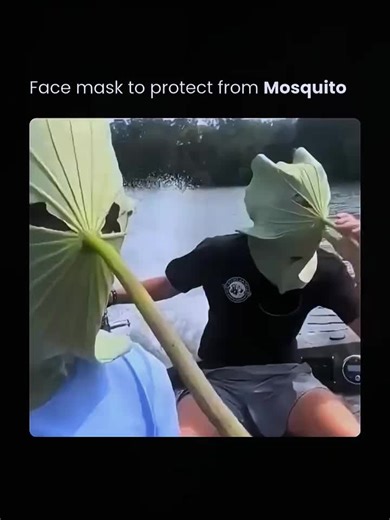 LIVE Incentive Program & Festival 2026