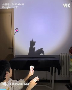 15K views · 148 reactions | Illusions in Light: Jaw-Dropping Shadow Art 勞 | Watercooler | Facebook