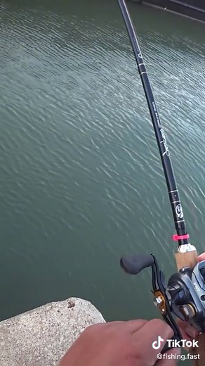 They said there were a bunch of snags, so I had to do this #fyp #tiktok #foryoupage #fishing#fishing life