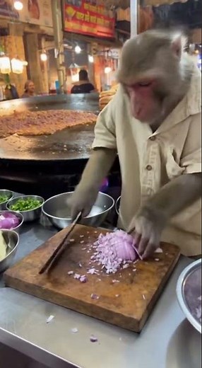 You Won’t Believe This Monkey’s Cooking Skills! 😱🧅