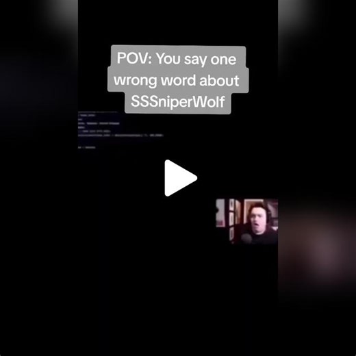 Facing the SSSniperWolf Meme Challenge