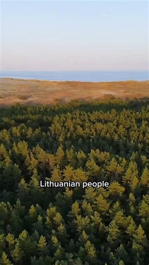 145 reactions | Full video now on YouTube! Lithuania has secret swamp roads! We walked the ancient Kulgrinda paths — built underwater by pagans. Search Curly and Lithuania on YouTube or hit the link in bio. Don’t forget to share your thoughts in the comments! #lithuania | Curly&Lithuania | Facebook