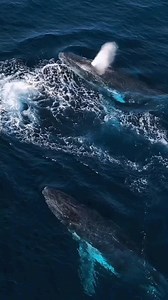 Versículo del dia‭ ‭‭Mateo 6:33 NVI‬‬ «Más bien, busquen primeramente el reino de Dios y su justicia, entonces todas estas cosas les serán añadidas». Un bendecido dia sábado 02 de Marzo de 2024, les deseamos a todos los que nos leen y nos siguen.🙏 ● El hombre sin Dios no es nada ● La oración es conversar con Dios, tiene poder, protege y te bendice. ● Pon siempre a Dios primero por delante, en todo lo que hagas. ● En el tiempo de Dios, todo es perfecto ● Dios no te da lo que deseas, te da lo que