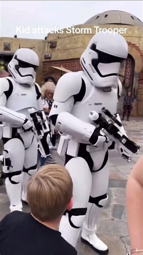 Disneyland Funny Moments Compilation
