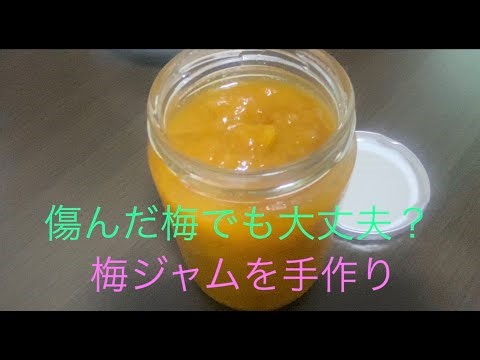 傷んでもOK。梅ジャム作り