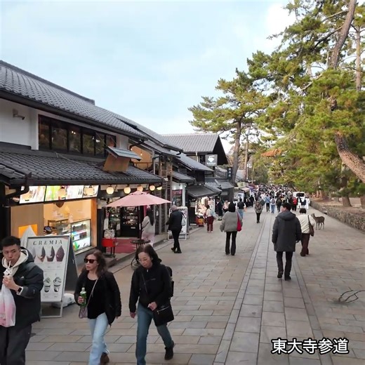 12／8 #観光 #奈良公園 #旅行 #散歩