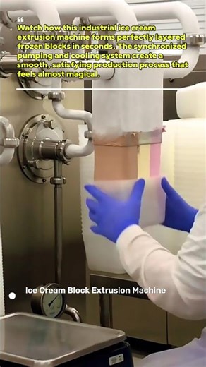 Ice Cream Block Extrusion Machine in Action! 🍨✨ #FoodFactory #Satisfying #IceCream