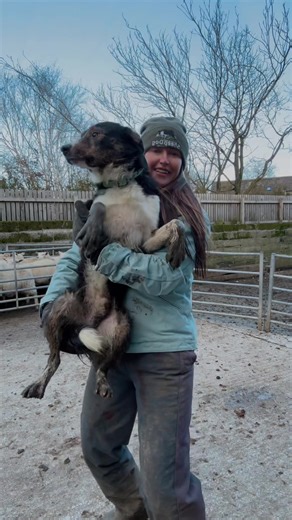 Mucky pups 🥰 #fyp #explorepage✨ #outfitoftheday #farming #foryoupage❤️❤️