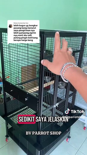 BVPARROTSHOP on TikTok