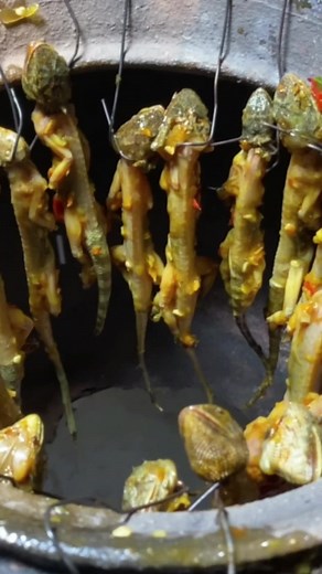 #food Roast Lizard in Pot