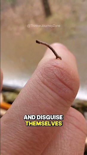 What Are These Tiny Worms Dancing on Your Plate? 😳🪱