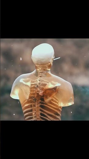 Testing Different Execution Methods on Ballistic Dummies 😳