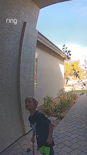 183K views · 2.1K reactions | When you're trying to retrieve your paper airplane and you get the whole wreath!  He handled it like a champ. | Ring | Facebook
