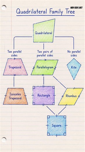 Quadrilateral Family Tree #cbse #math