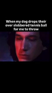 8.4K views · 24 reactions | They add lime 10lbs of slobber with every throw. . All jokes aside even though that ball is gross take the time to play! Have some fun with your dog they’ll enjoy it more than you know. Go for that hike, throw that ball, play the game of tug. Give your dog everything you can in their life. They’re a part of your life, but you’re their whole life. #dog #dogs #dogtraining #dogmeme #dogmemes #meme #memes #puppy #puppytraining | Lobato Dog Training | Facebook