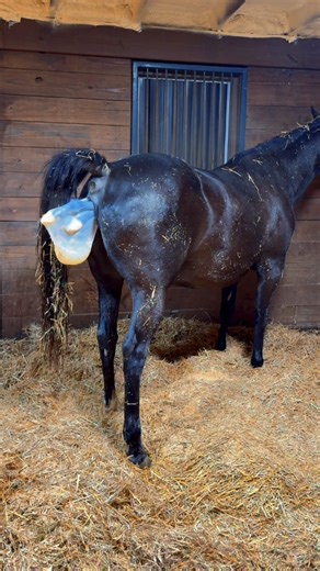 5.9M views · 207K reactions | Raven’s raw footage birth video You can expect a much more high quality version on YT later this week! Raven did amazing, and we truly wanted her to be able to do it herself, but Baby Boy is HUGE! We gladly gave her a helping hand so that she could have a little energy left to be able to care for him after he arrived | Katie Van Slyke | Facebook