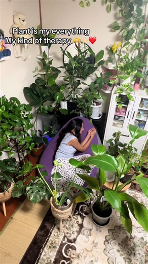 Now I’m happy with my plants my babies my everything ✨🫶❤️ I just love you my plants 🌱 #foryoupage❤️❤️ #govira #fyp #foryou #fyp