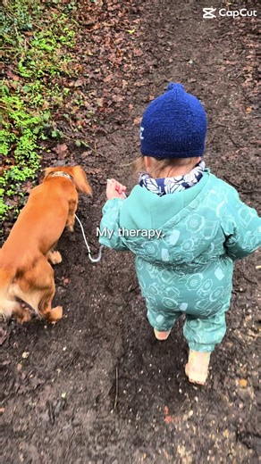 No caption needed. #cockerspaniel #workingcockerspaniel #workingcocker #shooting #workingdogs #gundog #gundogtraining #skinnersfieldandtrial#fedonskinners#homebred#twiggslanecockerspaniels#pheasant#pheasantshooting#homebred#homebredspaniel