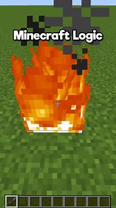 Minecraft makes no sense 😅 #Minecraft #memes #gaming #viral | Sloshed On Broadway