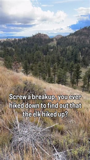 78K views · 7.9K reactions | Hunting elk really do be like that sometimes. #outdoors #hunting #elkhunting #hunthard #hunt #elk #backcountry #adventure #montana #instagram #mountains | West of Wild | Facebook