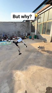 But why? 樂 robot fighting a real dog  #robots #virals #robot #robotech | Reviews | Facebook