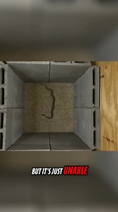 135K views · 560 reactions | Can a Western Diamondback Rattlesnake climb over a block wall like the rumors claim? No. Full video: Can a Rattlesnake Climb Over a Block Wall? NO! https://youtu.be/jrGaZOhMoPU | Rattlesnake Solutions | Facebook