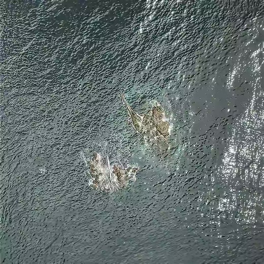 Epic Cinematic Moments from Hollywood Films