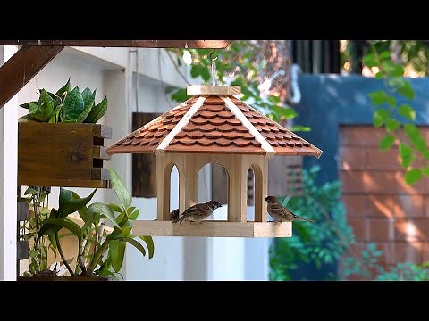 CREATE Your Own Adorable Wooden Bird Feeder Designs Today!