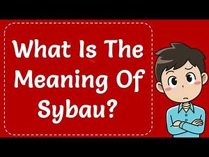 What Is The Meaning Of Sybau?