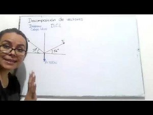 Descomposición de vectores/Cuerpos en equilibrio/ Física