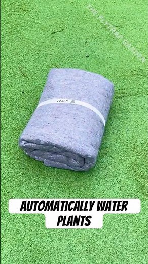 How to Automatically Water Your Plants