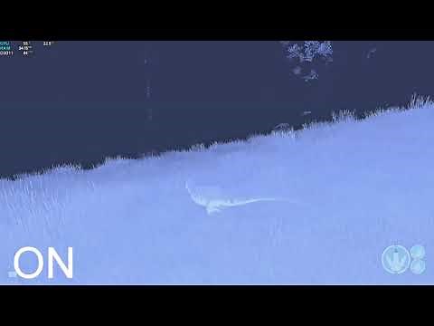 The Isle Night Vision | Nvidia Filters