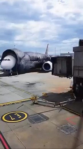 62K views · 654 reactions | This is how the planes arrived in Jhb and CT this morning  | South African Indians | Facebook