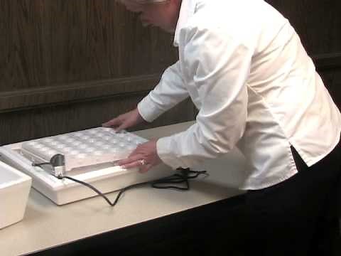 Little Giant 6300 Automatic Egg Turner