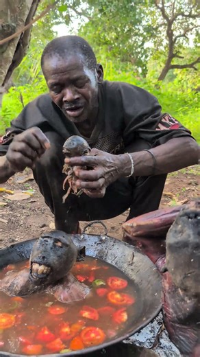 survival through skill — a successful baboon hunt by the Bushmen tribe.