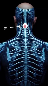 397K views · 6K reactions | Prima vertebra cervicala este numita ATLAS sau C1 care are un rol important in biomecanica coloanei. Atlas este responsabila pentru o serie de tulburari si stari la nivel fizic cat si mental. C1 simptomele nervului la nivelul vertebrei ATLAS Dureri de cap Insomnia Presiune arteriala Migrene Amnezie Ameteli Afectiunile urechii interne Oboseala cronica Hiperactivitate sau hipoactivitate | Blog Masaj24 | Facebook