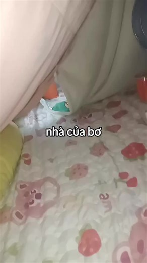 Video của bơ 🥑 và kitty 🇹🇭 (@b.v.kitty) với bản nhạc good morning, everyone - OVN