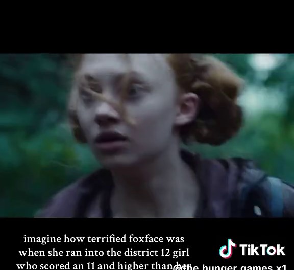 Foxface: The Underrated Ally in Hunger Games