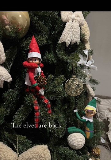 Creative Ideas for Your Elves This Evening
