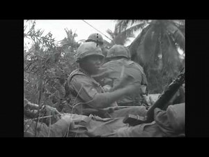 Vietnam War: 1st Cav Division 1967
