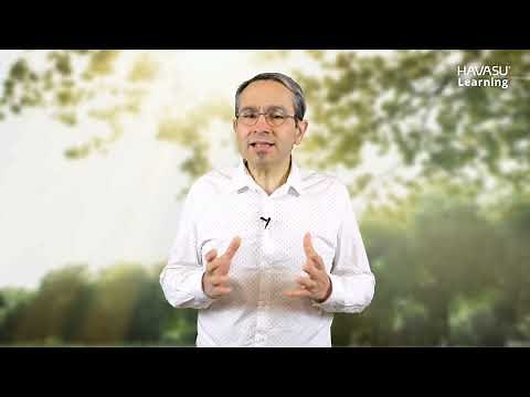 Qu’est-ce que l’ergonomie ?